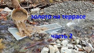 Золото на террасе (часть 2) объемная проба!  Gold Panning  gold-fever