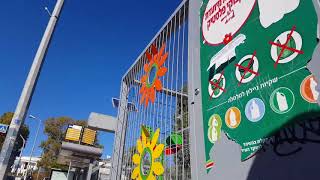 ШКОЛА ПО ул  АРЛОЗОРОВ В ХАЙФЕ НА ГОРЕ НА ПЕРЕПАДЕ ВЫСОТ