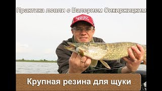 Крупная резина для щуки : Практика ловли с Валерием Сикиржицким