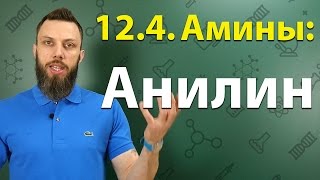 12.4. Анилин: Строение, химические свойства, способы получения. ЕГЭ по химии