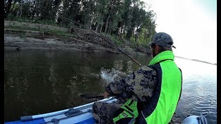 В ЭТИХ КОРЯГАХ ОДНИ КРОКОДИЛЫ!!! Трофейная рыбалка 2019 ,Обь,джиг,Крупная щука ,trofi fishing
