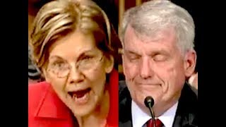 "YOU SHOULD BE FIRED!!!" Elizabeth Warren DESTROYS Wells Fargo CEO Tim Sloan