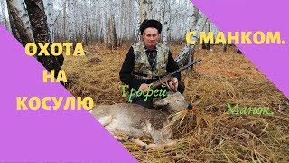 Охота на косулю с манком.