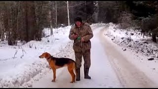 Гончие выгнали зайца на костёр .