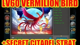 Taichi Panda | LV60 VERMILION BIRD | Citadel Attack Secret!