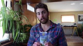 Sunwarrior Warrior Blend Protein Review
