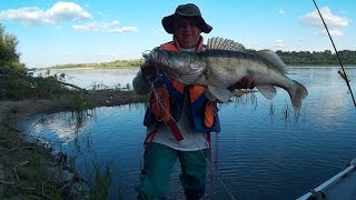 Ловля судака на р.Дон летом