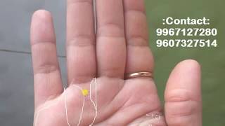 AKSHO The Palmist - L222: एक सूर्य प्रधान महिला का हाथ। सिनेमा और कला के क्षेत्र में सफलता।