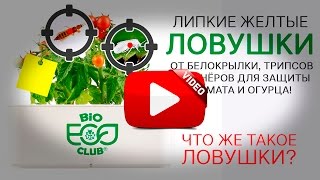 Средство от белокрылки и трипса - липкие ловушки