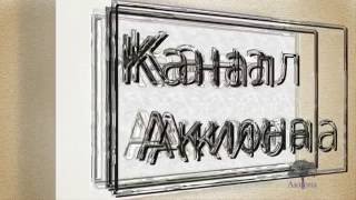 Посылка из Китая. Чехол для Prestigio Грейс Q5 5506 PSP5506 DUO