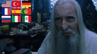 Gandalf and Saruman in Isengard scene | Multilanguage | Lord of the Rings (2001)