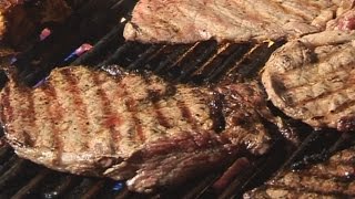 " YEARLING RUMP STAKE " Bajias Cooking