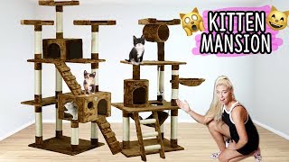 BUILDING MY KITTENS THEIR DREAM HOUSE!! (AWESOME) | NICOLE SKYES