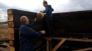 Папа с сыном строят сарай из шпал.Суп из баклажан.Брынза.Козы.
