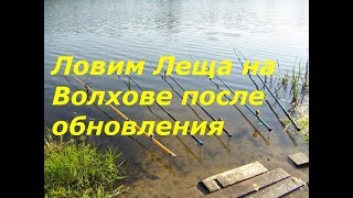 Русская рыбалка 4 где ловить Леща после обновления?