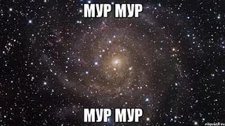 Момент со стрима от Митина