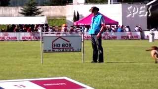 E´Redbull Du Banc Des Hermelles