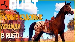 Новые ездовые лошади в Rust. Обзор обновления