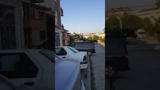 Alifutapaşa'da başıboş köpekler korku salıyor