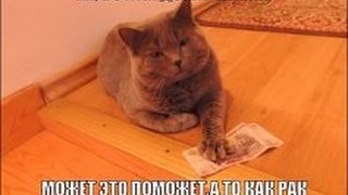 Как сделать донат на стриме в YouTube и как сделать сам стрим