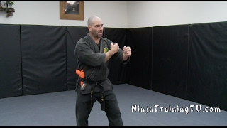 Practical Combat Applications of Ichimonji no Kamae for Bujinkan Ninjutsu