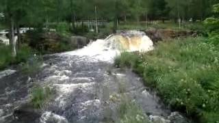 MOV00333