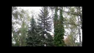 Белгородский район.Посёлок Майский.2012 год