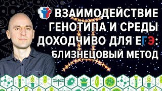 20. Взаимодействие генотипа и среды доходчиво для ЕГЭ: близнецовый метод