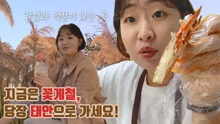 당일치기 태안여행 게국지 맛집부터 조지고 시작 | 국내여행 브이로그
