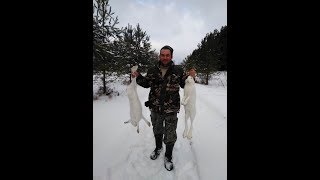 Охота на зайца. Выпуск 5. Сезон 2019-2020г