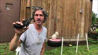 Dogs Thunder, fireworks, Vacuum, Gun shyness, Puppies and Adult Dogs