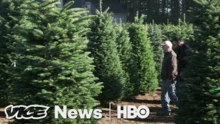 Paris's Last Porno & The Christmas Tree Shortage: VICE News Tonight Full Episode (HBO)