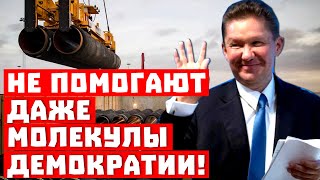 Крупнейшая ставка США не сыграла! Не спасают даже молекулы демократии!