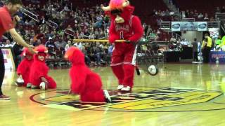Iowa Energy - Benny the Bull