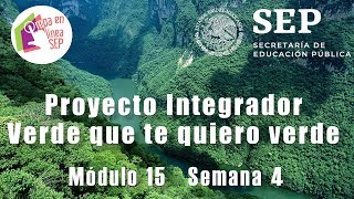 Proyecto Integrador. Verde que te quiero verde | Los incendios en el Amazonas