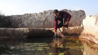 رحلة بشندلايا - قلب لوزة - ادلب
