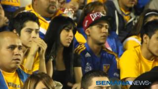 TIGRES DE UANL: PASIÓN QUE SE LLEVA EN LA PIEL