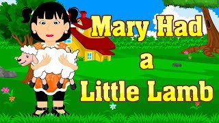 Mary Had a Little Lamb | Nursery Rhymes | Kid2teentv