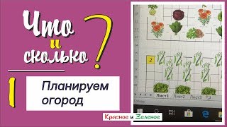 Планируем посадки в огороде. Совмещенные и уплотненные посадки, компаньоны. Ч1