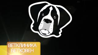 Субконъюктивальный абсцесс у кота