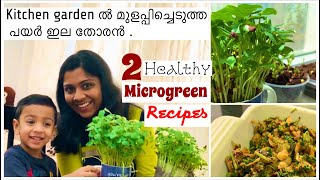 Two Healthy Microgreen Recipes | Payar IlaThoran| Healthy Omelet Recipe | Mom Life Journal