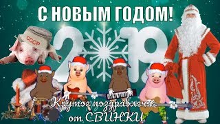 С Новым годом ! красивые поздравления и пожелания в новый год