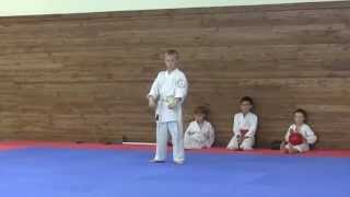 Ката тайкиоку шодан, taikyoku shodan kata