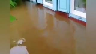 #Вода #уносит #дома #Иркутская #обл., #Россия 27.06.2019