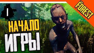 The Forest VR Прохождение  ► ᶰОͦДͭИНͣˡ ͦᶰ ͤВ ЛЕСУ ???