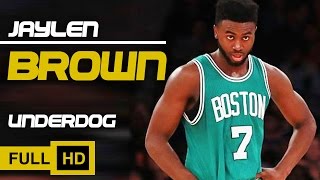 Jaylen Brown Mix - Underdog
