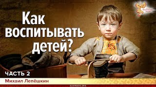Как воспитывать детей. Михаил Лепёшкин. Часть 2