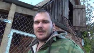 Навес для кур, и не много о "будущем"
