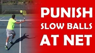 Volley | PUNISH SLOW BALLS