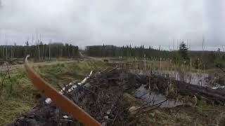 Лучшие Приколы 2017 ОКТЯБРЬ | Охота на медведя закончилась трагедией. Медведь ошибок не прощает